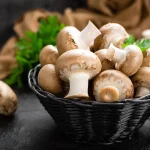 Приготовление вкусных блюд с грибами: Где и как купить свежие продукты